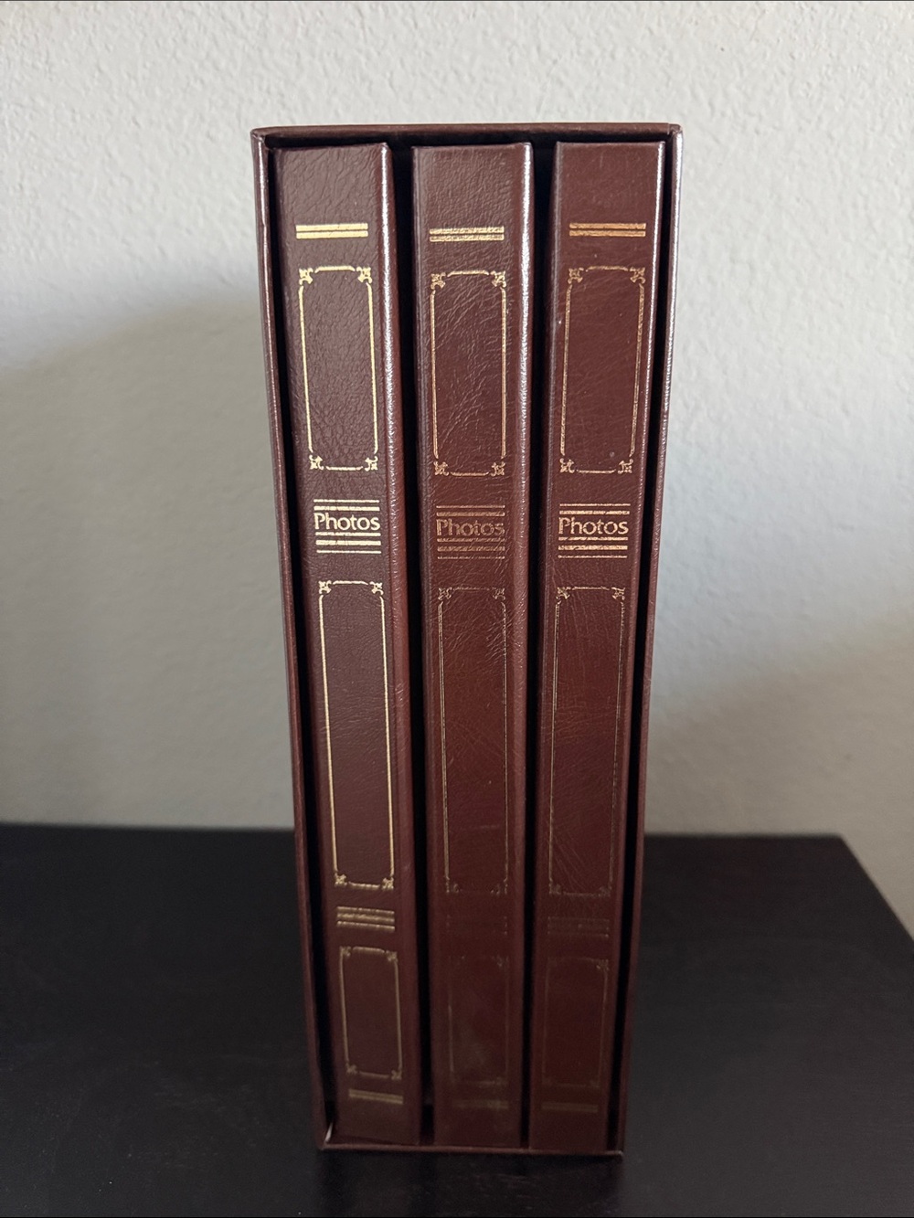 Vintage Pioneer Le Memo 3 Photo Album Set Faux Leather Case
